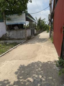 BÁN ĐẤT CHƯƠNG DƯƠNG LÔ GÓC ĐƯỜNG THÔNG